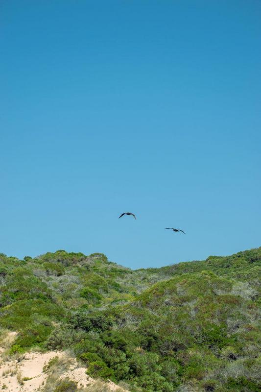 0 Bedroom Property for Sale in Moquini Western Cape